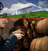 adega-vinhos-barbeito